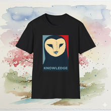 Load image into Gallery viewer, Wan Shi Tong Knowledge Avatar Owl Spirit Library Keeper T-Shirt Unisex
